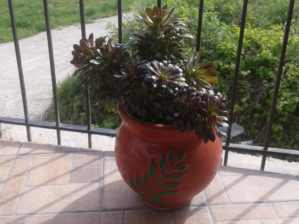 Gramvousa'S Filoxenia Apartment Kissamos Bagian luar foto